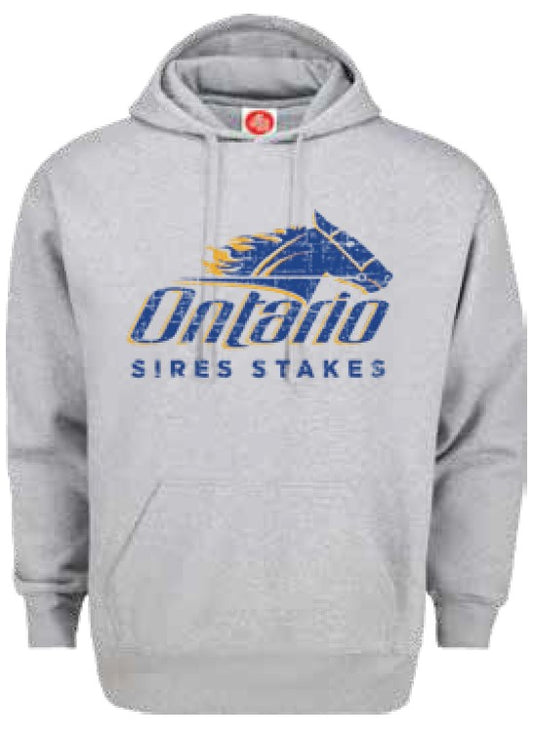 PULLOVER HOODIE - DISTRESSED DESIGN