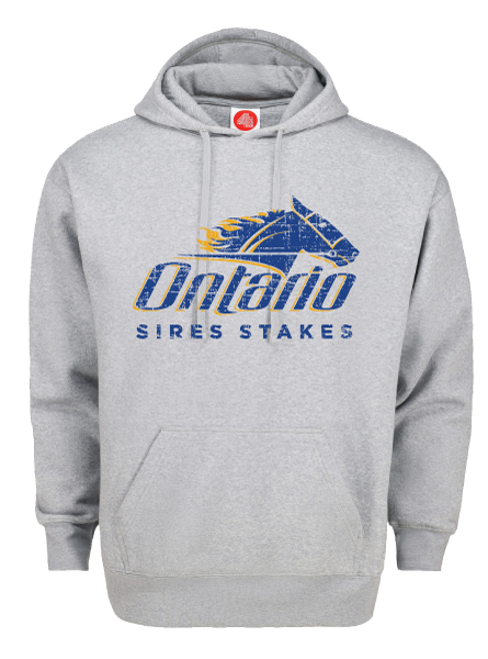 PULLOVER HOODIE - DISTRESSED DESIGN