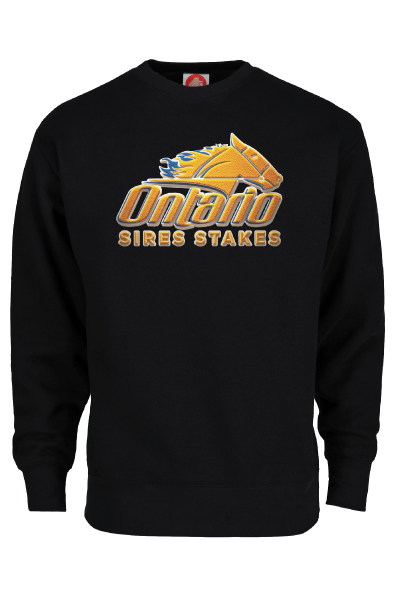 CREWNECK SWEATSHIRT - CHENILLE DESIGN