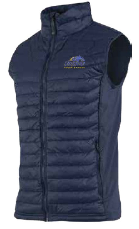 COLUMBIA UNISEX POWDER PASS VEST