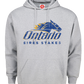 PULLOVER HOODIE - DISTRESSED DESIGN