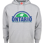 PULLOVER HOODIE - DISTRESSED DESIGN