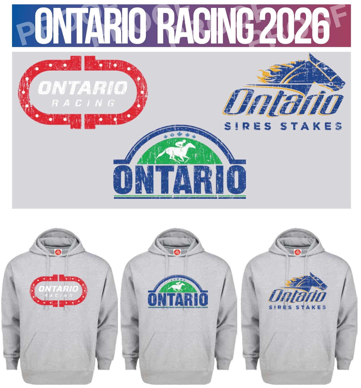 PULLOVER HOODIE - DISTRESSED DESIGN