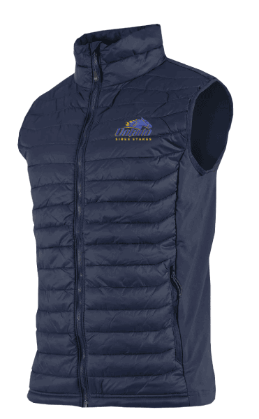 COLUMBIA UNISEX POWDER PASS VEST